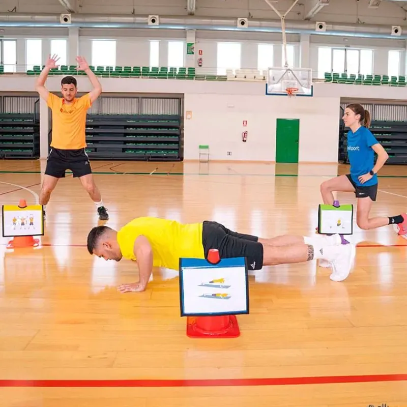 Elk Sport Alforjas para conos (6 unidades)| Conos|Conos