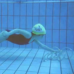 Elk Sport Anillos de inmersión (4 unidades)| Juegos Sumergibles