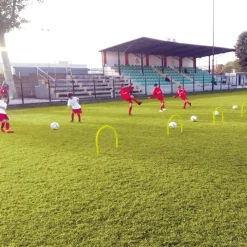 Elk Sport Arco precisión puntas| Kits De Motricidad|Vallas Y Obstáculos