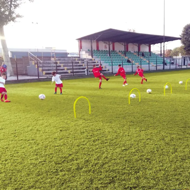 Elk Sport Arcos de precisión con puntas (6 unidades)| Kits De Motricidad|Vallas Y Obstáculos