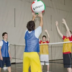 Elk Sport Balón súper voleibol| Gigantes|Gigantes