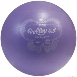 Trial Balón voleibol Butterfly| Balones Iniciación Voleibol|Voleibol