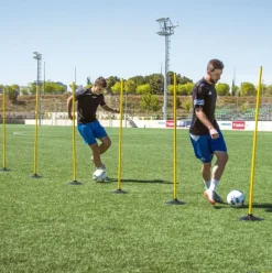 Elk Sport Base lastrada plana 2 kg| Kits De Motricidad|Picas