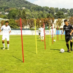 Elk Sport Conjunto 12 picas slalom + bolsa| Kits De Motricidad|Picas