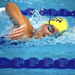 Corcheras donuts | Modelo Roma| Corcheras
