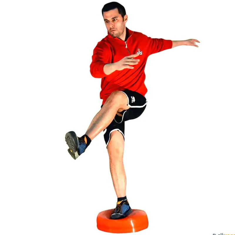 Trial Disco propioceptivo rotatorio C22| Propiocepción|Propiocepción