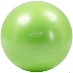 Gymnic Fitnessball | 55 cm| Balones|Balones