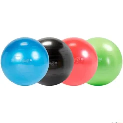 Gymnic Fitnessball | 55 cm| Balones|Balones