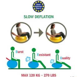 Gymnic Fitnessball | 55 cm| Balones|Balones