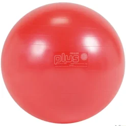 Gymnic Fitnessball | 55 cm| Balones|Balones