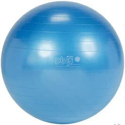 Gymnic Fitnessball | 65 cm| Balones|Balones
