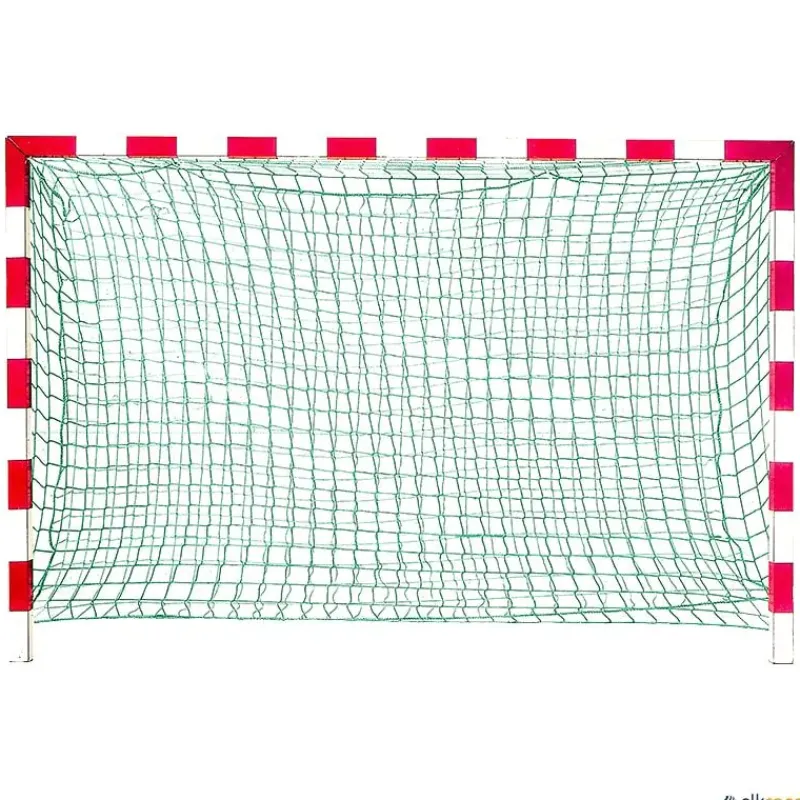 León de Oro Juego 2 cortinas amortiguadoras balonmano| Balonmano|Balonmano