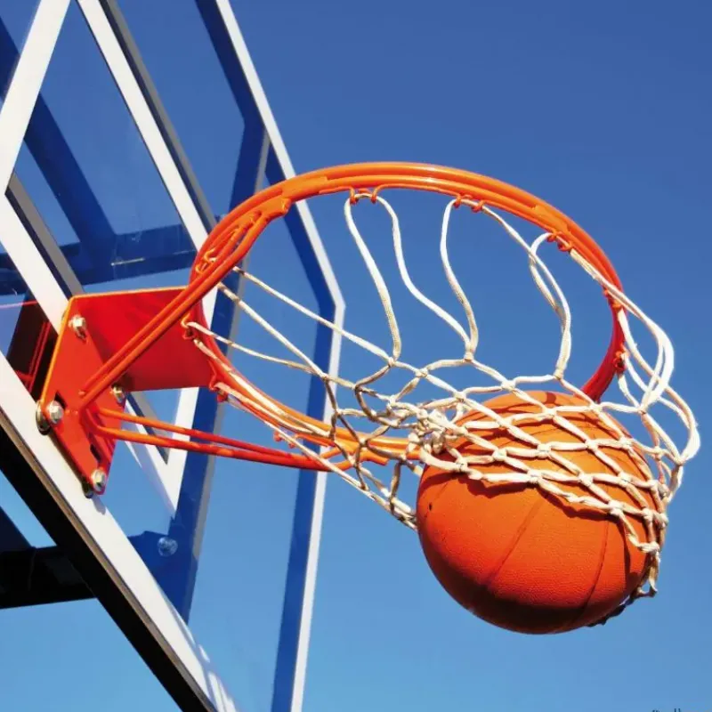 León de Oro Juego 2 redes baloncesto nailon| Baloncesto|Baloncesto