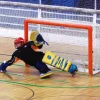León de Oro Juego 2 redes hockey patines| Floorball Y Hockey|Floorball Y Hockey