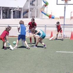 Elk Sport Juego mazaball| Mazaball