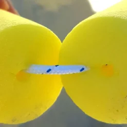 Trial Líneas campo balonmano playa competición| Balonmano Playa