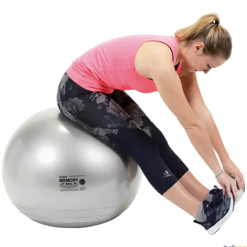 Gymnic Memory Ball| Educación Postural|Balones