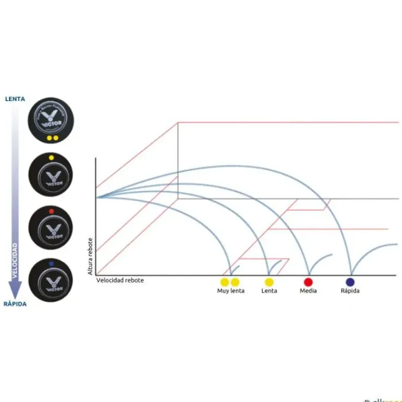 Victor Pelota squash punto rojo| Squash