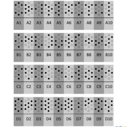 Pinzas orientación (10 unidades)| Orientación