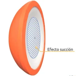 Trial Semiesfera de equilibrio Tortuga T2| Propiocepción|Semiesferas