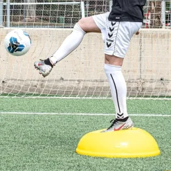 Trial Semiesfera de equilibrio Tortuga T2| Propiocepción|Semiesferas