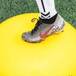 Trial Semiesfera de equilibrio Tortuga T2| Propiocepción|Semiesferas