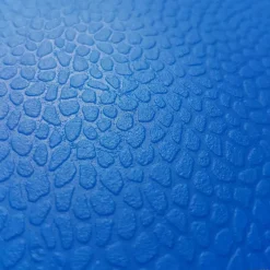 Trial Semiesfera de equilibrio Galápago T3| Propiocepción|Semiesferas