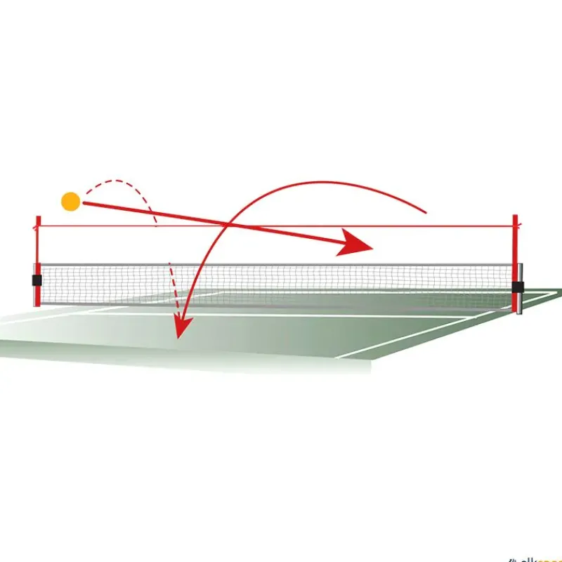 Sistema a red de perfeccionamiento técnico| Tenis De Mesa