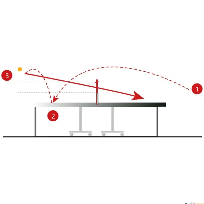Sistema a red de perfeccionamiento técnico| Tenis De Mesa