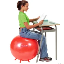 Gymnic Sit Gym adultos| Educación Postural