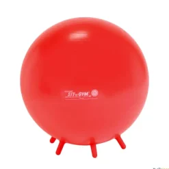 Gymnic Sit Gym adultos| Educación Postural