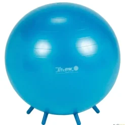 Gymnic Sit Gym adultos| Educación Postural