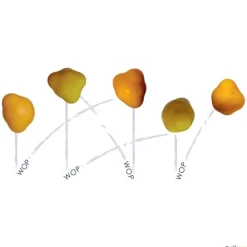 Trial Wopper| Balones De Reacción|Psicomotricidad